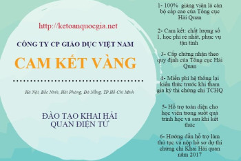 Địa chỉ học khai báo hải quan uy tín cấp chứng chỉ Tổng cục Hải quan Địa chỉ học khai báo hải quan uy tín cấp chứng chỉ Tổng cục Hải quan