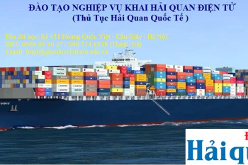 Mở Lớp Đào Tạo Nghiệp Vụ Khai Hải Quan Theo Chuẩn Vnaccs Mở Lớp Đào Tạo Nghiệp Vụ Khai Hải Quan Theo Chuẩn Vnaccs