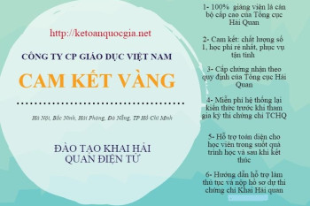 TUYỂN SINH KHÓA HỌC KHAI BÁO HẢI QUAN ĐIỆN TỬ TRÊN TOÀN QUỐC