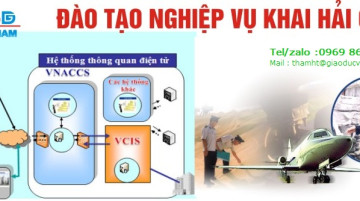 THÔNG BÁO MỞ LỚP KHAI HẢI QUAN ĐIỆN TỬ KHÓA K10 – BẮC NINH