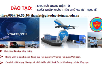 Mở lớp nghiệp vụ khai báo hải quan điện tử tại Bắc Ninh Mở lớp nghiệp vụ khai báo hải quan điện tử tại Bắc Ninh