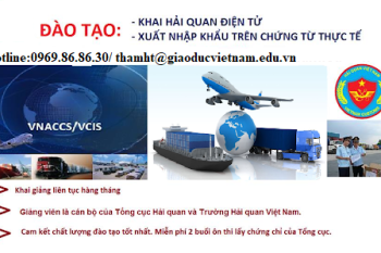 Mở lớp nghiệp vụ khai báo hải quan điện tử tại Bắc Ninh