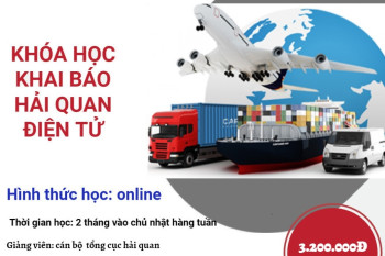 KHAI GIẢNG LỚP KHAI HẢI QUAN ĐIỆN TỬ ONLINE NGÀY 13/06/2021