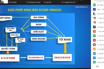 MỞ LỚP KHAI HẢI QUAN ĐIỆN TỬ ONLINE THÁNG 12/2021