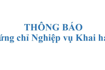 Thông báo điểm thi chứng chỉ khai hải quan năm 2022