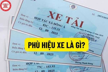 Phù hiệu xe là gì? Các loại xe nào cần phải dán phù hiệu xe? Phù hiệu xe là gì? Các loại xe nào cần phải dán phù hiệu xe?