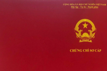 ĐÀO TẠO – CẤP CHỨNG CHỈ SƠ CẤP CHUYÊN NGÀNH VẬN TẢI ĐÀO TẠO – CẤP CHỨNG CHỈ SƠ CẤP CHUYÊN NGÀNH VẬN TẢI