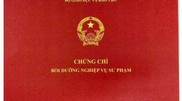 KHÓA ĐÀO TẠO KHAI HẢI QUAN ĐIỆN TỬ CƠ BẢN_CHUYÊN GIA CẤP CAO TỔNG CỤC HẢI QUAN GIẢNG DẠY KHÓA ĐÀO TẠO KHAI HẢI QUAN ĐIỆN TỬ CƠ BẢN_CHUYÊN GIA CẤP CAO TỔNG CỤC HẢI QUAN GIẢNG DẠY