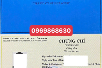CHỨNG CHỈ ĐẠI LÝ TÀU BIỂN – CHÌA KHÓA NGHỀ NGHIỆP TRONG NGÀNH LOGISTICS & HÀNG HẢI CHỨNG CHỈ ĐẠI LÝ TÀU BIỂN – CHÌA KHÓA NGHỀ NGHIỆP TRONG NGÀNH LOGISTICS & HÀNG HẢI