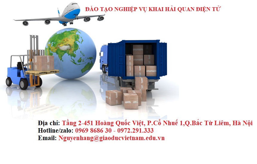 Thời khóa biểu lớp Khai Hải Quan K6 2022 online